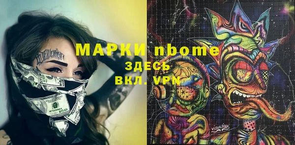 твердый Новозыбков