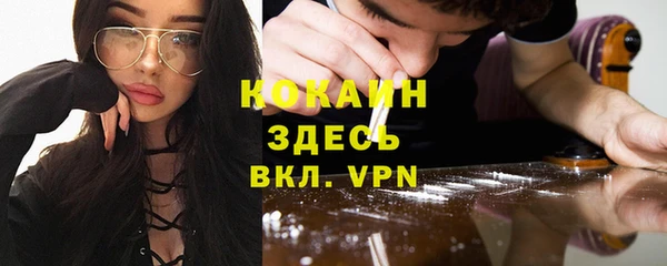 твердый Новозыбков