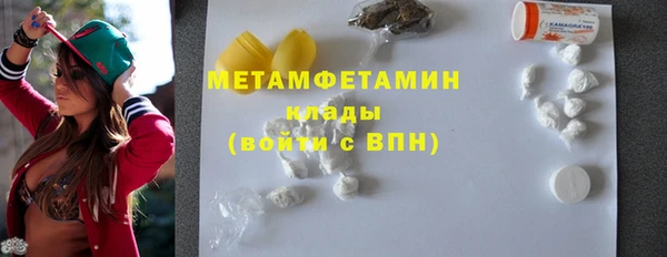 трава Няндома