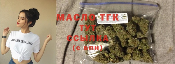 трава Няндома