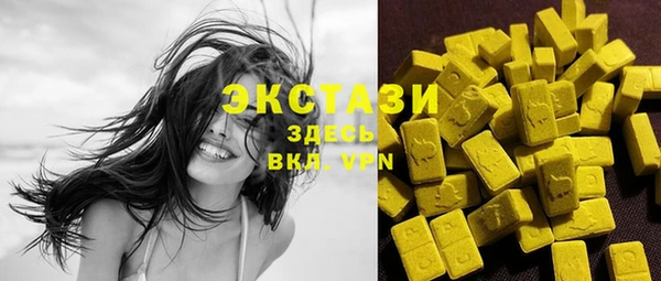 твердый Новозыбков