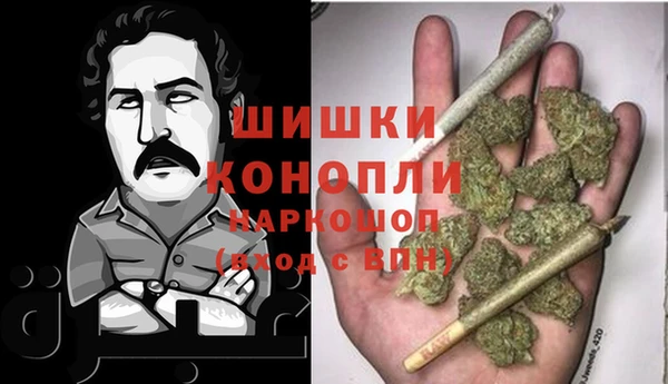 твердый Новозыбков