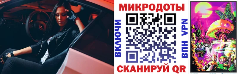 Псилоцибиновые грибы Cubensis  где можно купить   Нолинск 