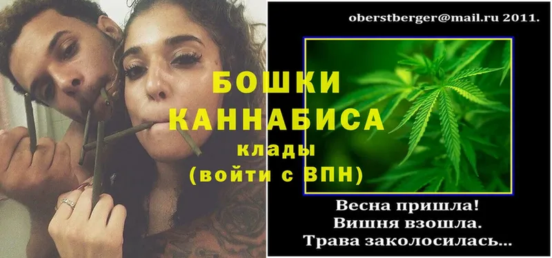 Марихуана OG Kush  наркотики  дарк нет наркотические препараты  Нолинск 